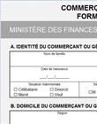 Formulaire unique création d'entreprise CFCE